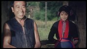 爬满青藤的木屋