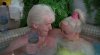 Strictly.Ballroom.舞国英雄.中文字幕.HR-HDTV.AC3.960X528.x264-人人影视制作