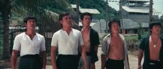 【李小龙·经典电影·合集6部】