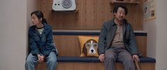W 窝会豪豪第（2025）4K 高码 60帧率