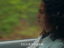 暴力本性