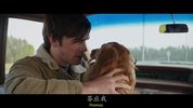 一条狗的使命.2017.英语中字.豆瓣评分7
