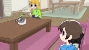 关于养猫我一直是新手