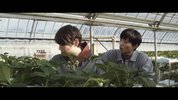 [在回家之后重新开始][2020][日语中字][1080P][4