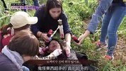 孤独又灿烂的神：鬼怪