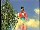 酒仙杜康.1998.国语无字