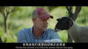 最大的小小农场：回归【         2022电影