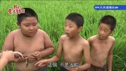 一片丹心蒲公英.2014.37集