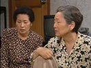 玫瑰与黄豆芽.1999.51集