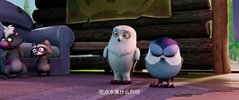 贝肯熊2：金牌特工 【         2021电影