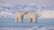 冰冻星球 第二季 Frozen Planet Season 2 (2022) 4K