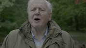 大卫·爱登堡：地球上的一段生命旅程.2020.英语中字.纪录片.豆瓣评分9