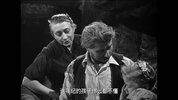 禁忌的游戏.1952.法语中字.豆瓣评分8