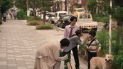 [假面骑士圣刃 深罪的三重奏][2022][日语中字][1080P][2