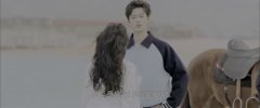 D当星光坠入花海【4K  2025国产剧】(1)