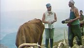 [黄土地][1984][国语中字][4K-2160P][3