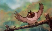H 狐狸与猎狗1 1080P (1981)