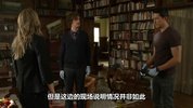 犯罪心理 1-17季全集