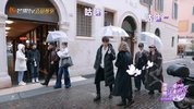 q妻子的lm旅行 第八季