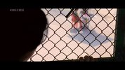 我脑中的橡皮擦.2004.国语版.豆瓣评分8