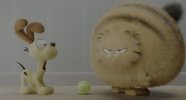 J 加菲猫家zu（2024）内封多国字幕 4K