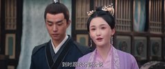 朝云散2025