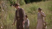 小树的故事.1997.英语中字.豆瓣评分8