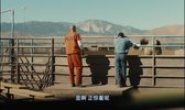 野马.2019.豆瓣评分7