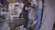 美丽星球 2160p remux (2016)