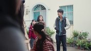 山花烂漫时