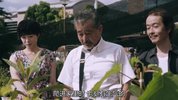 父亲与伊藤先生.2016.日语中字.豆瓣评分7