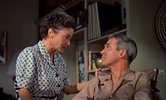 后窗.1954.英语中字.豆瓣评分8