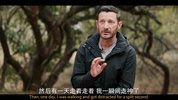 遇见穿山甲：非常疗愈之旅 (2025)