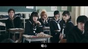 三角草的春天2018