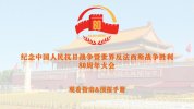 2025年抗战胜利80周年阅兵高清视频、《开国大典》原始影像及历届阅兵合集