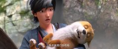B 白.蛇：浮.生（ 附1-3部     .....