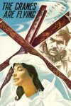 雁南飞 (1957)