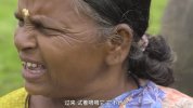 小象守护者（2022）中文字幕