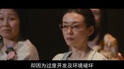 美丽之星