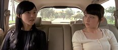抽象画中的越南少女.2007.韩语中字.豆瓣评分6