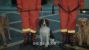 照亮你照亮你