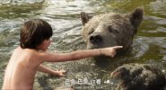 Q 奇幻森林1080P（2016）