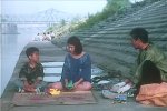鳄鱼藏尸日记.1996.韩语中字.豆瓣评分7
