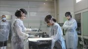 非自然死亡 (2018) 蓝光原盘 外挂字幕