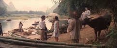 爱德华·诺顿主演《面纱》