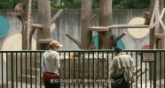 祈祷落幕时.2018.日语中字.豆瓣评分7