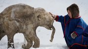 冰河时代的巨人 2160p remux (2013)