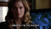 灵书妙探
