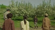 奇迹的苹果.2013.日语中字.豆瓣评分7