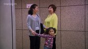 [艾草][2008][国语中字][1080P][2